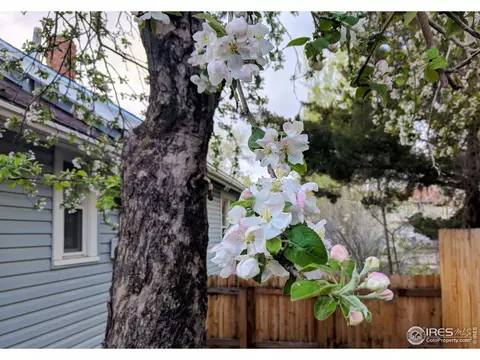 2602 Pine St, Boulder, CO 80302 photo 12