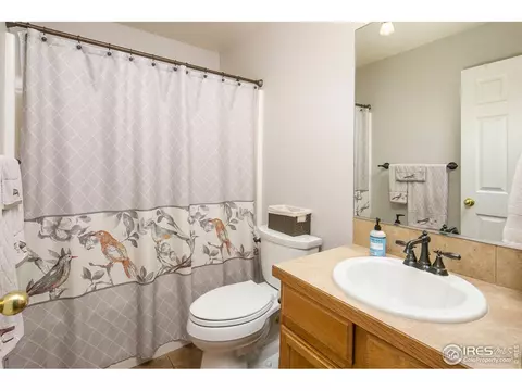 619 Scotch Pine Dr, Windsor, CO 80550 photo 19