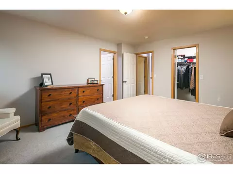619 Scotch Pine Dr, Windsor, CO 80550 photo 14
