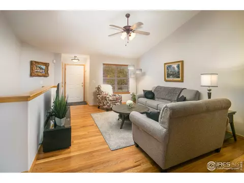 619 Scotch Pine Dr, Windsor, CO 80550 photo 8