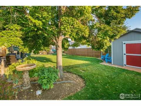 619 Scotch Pine Dr, Windsor, CO 80550 photo 31