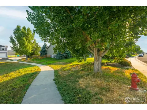 619 Scotch Pine Dr, Windsor, CO 80550 photo 5