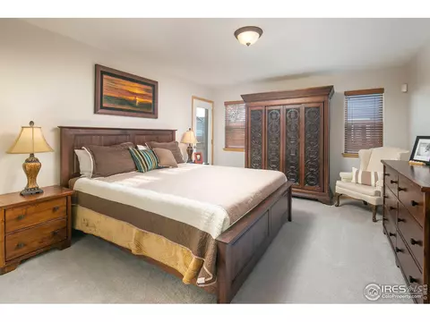 619 Scotch Pine Dr, Windsor, CO 80550 photo 13