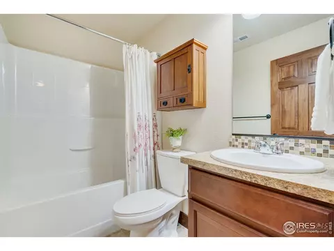 7039 Aladar Dr, Windsor, CO 80550 photo 24