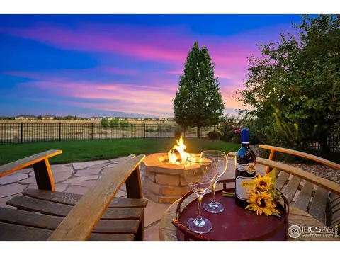 7039 Aladar Dr, Windsor, CO 80550 photo 31