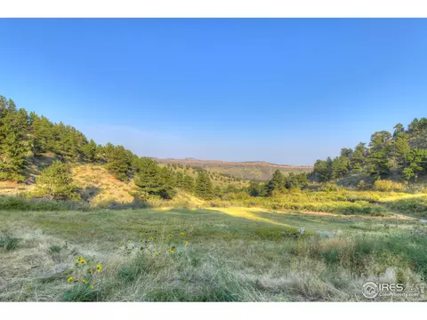 1653 Blue Mountain Trl, Lyons, CO 80540 photo 38