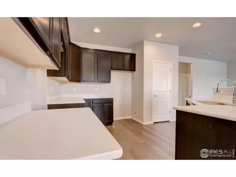 5006 Notley Dr, Windsor, CO 80550 photo 4