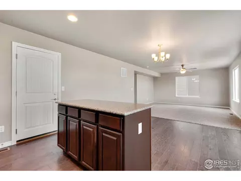 4585 Hollycomb Dr, Windsor, CO 80550 photo 5