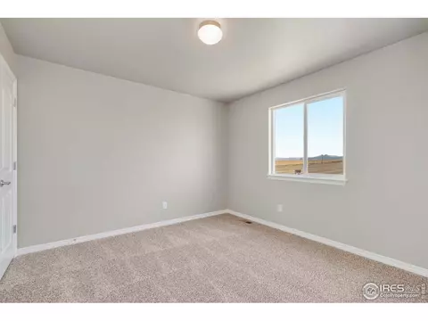 4585 Hollycomb Dr, Windsor, CO 80550 photo 15