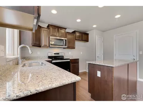 4585 Hollycomb Dr, Windsor, CO 80550 photo 10