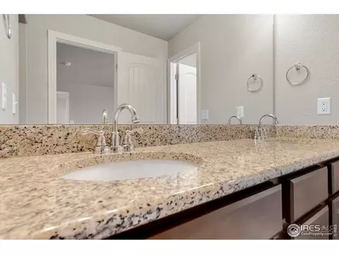 4585 Hollycomb Dr, Windsor, CO 80550 photo 17