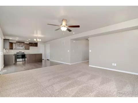 4585 Hollycomb Dr, Windsor, CO 80550 photo 6