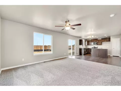 4585 Hollycomb Dr, Windsor, CO 80550 photo 3