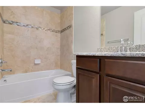 4585 Hollycomb Dr, Windsor, CO 80550 photo 18
