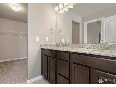 4585 Hollycomb Dr, Windsor, CO 80550 photo 20
