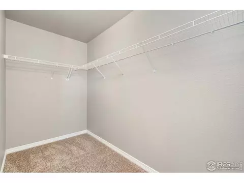 4585 Hollycomb Dr, Windsor, CO 80550 photo 13