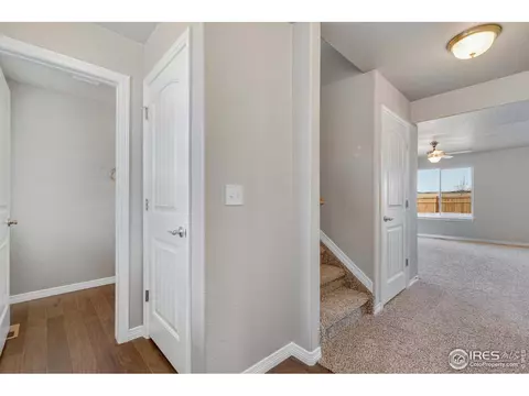 4585 Hollycomb Dr, Windsor, CO 80550 photo 2