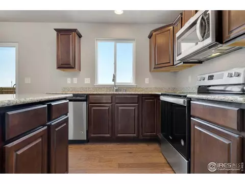 4585 Hollycomb Dr, Windsor, CO 80550 photo 12
