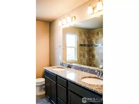 4593 Hollycomb Dr, Windsor, CO 80550 photo 9