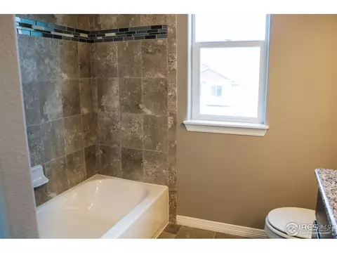4593 Hollycomb Dr, Windsor, CO 80550 photo 11
