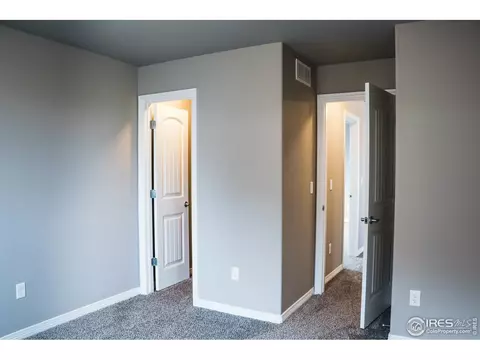 4593 Hollycomb Dr, Windsor, CO 80550 photo 10