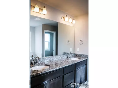 4593 Hollycomb Dr, Windsor, CO 80550 photo 15