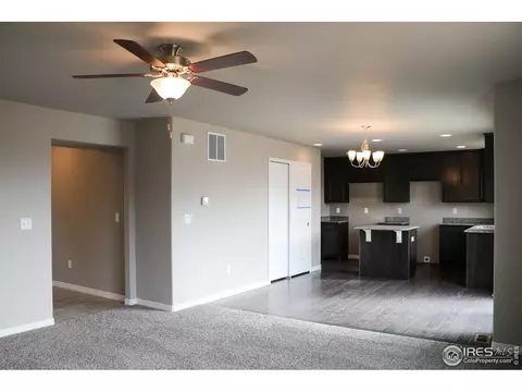 4593 Hollycomb Dr, Windsor, CO 80550 photo 4