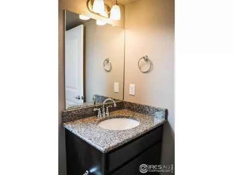 4593 Hollycomb Dr, Windsor, CO 80550 photo 24