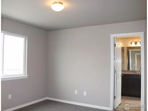 4593 Hollycomb Dr, Windsor, CO 80550 photo 26