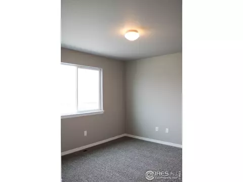 4593 Hollycomb Dr, Windsor, CO 80550 photo 25
