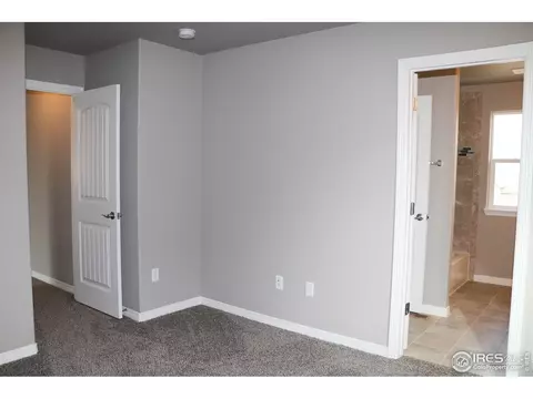 4593 Hollycomb Dr, Windsor, CO 80550 photo 7