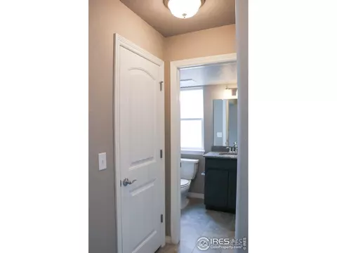 4593 Hollycomb Dr, Windsor, CO 80550 photo 23