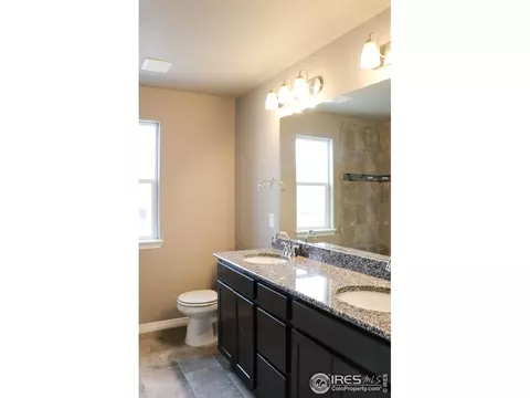 4593 Hollycomb Dr, Windsor, CO 80550 photo 27