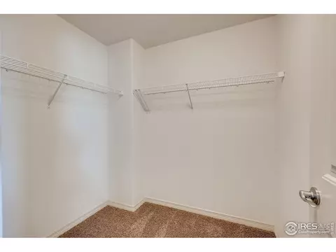 6009 Clarence Dr, Windsor, CO 80550 photo 18