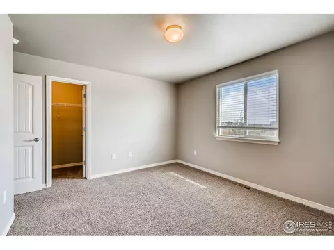 6009 Clarence Dr, Windsor, CO 80550 photo 19