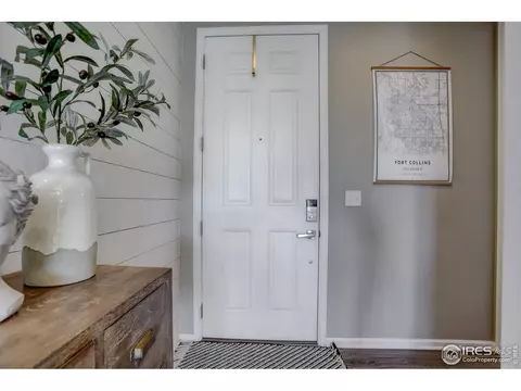 5199 Osbourne Dr, Windsor, CO 80550 photo 5