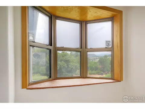 316 Seward St, Lyons, CO 80540 photo 14
