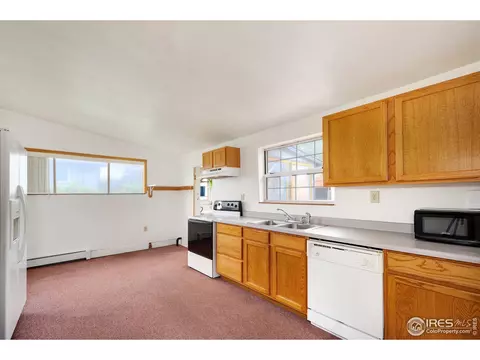 316 Seward St, Lyons, CO 80540 photo 11
