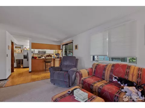 4271 E 115th Pl, Thornton, CO 80233 photo 6
