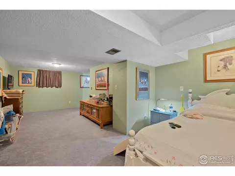 4271 E 115th Pl, Thornton, CO 80233 photo 7