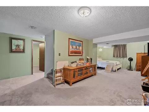 4271 E 115th Pl, Thornton, CO 80233 photo 9