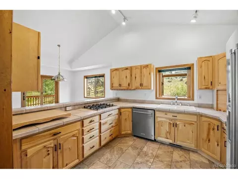641 County Road 72, Bailey, CO 80421 photo 10
