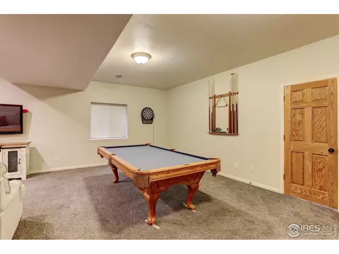 231 Cattail Bay, Windsor, CO 80550 photo 30