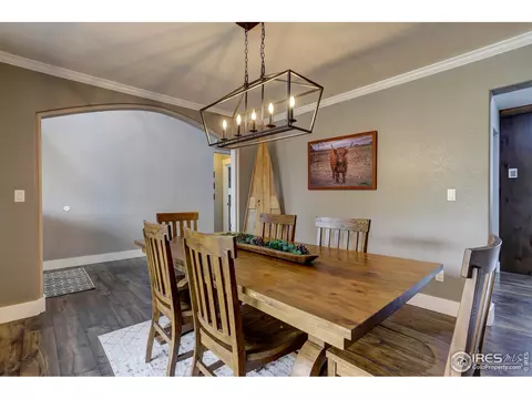 231 Cattail Bay, Windsor, CO 80550 photo 13