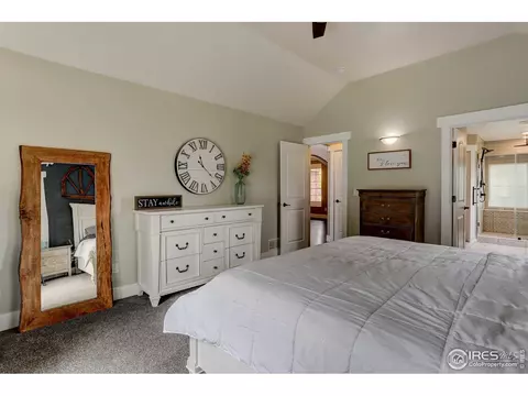 231 Cattail Bay, Windsor, CO 80550 photo 18