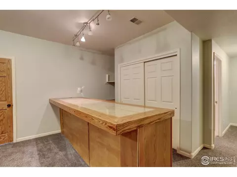 231 Cattail Bay, Windsor, CO 80550 photo 32