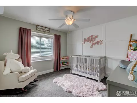 231 Cattail Bay, Windsor, CO 80550 photo 23