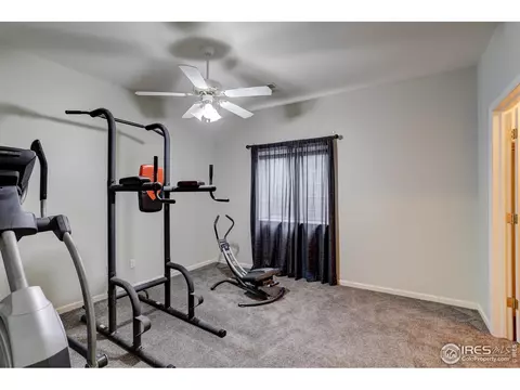 231 Cattail Bay, Windsor, CO 80550 photo 27