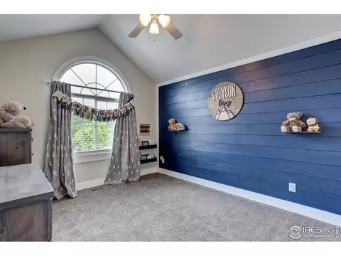 231 Cattail Bay, Windsor, CO 80550 photo 24