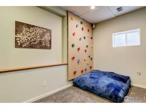 231 Cattail Bay, Windsor, CO 80550 photo 28